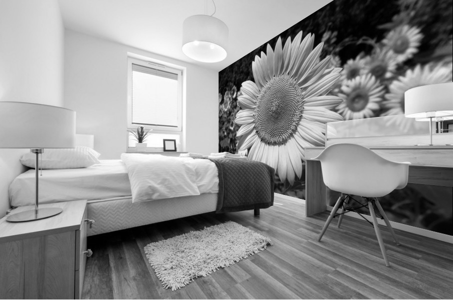 Roxanna Sunflower Helianthus in Black and White Mural print