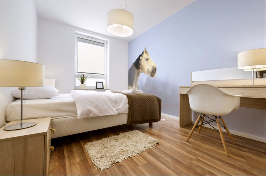 Snow White Impression murale