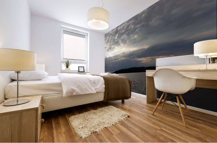 DBD FINAL Cropped Mural print