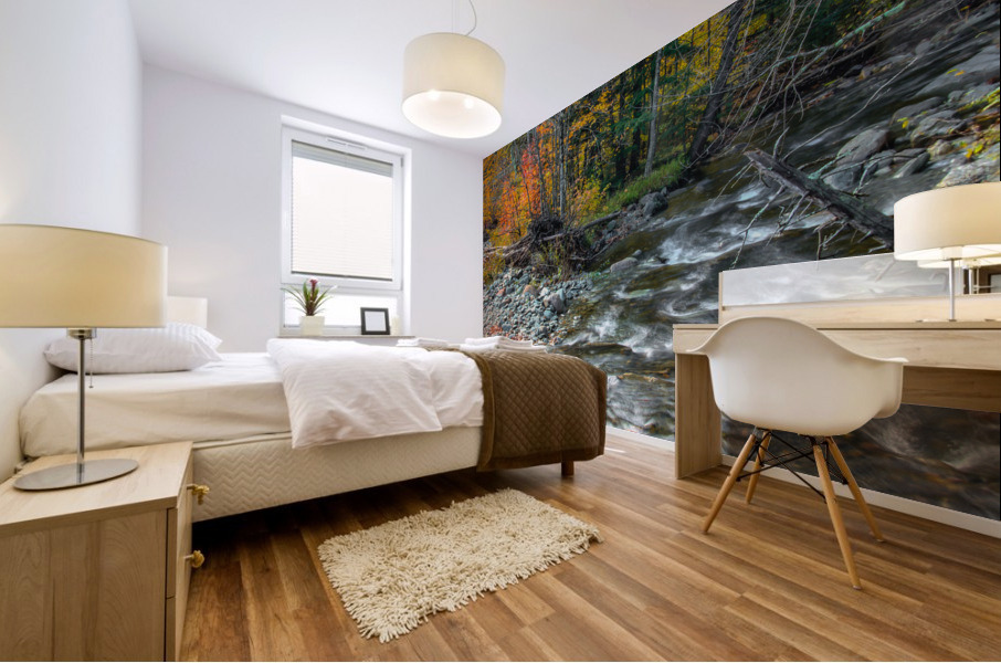A Second River Mural print