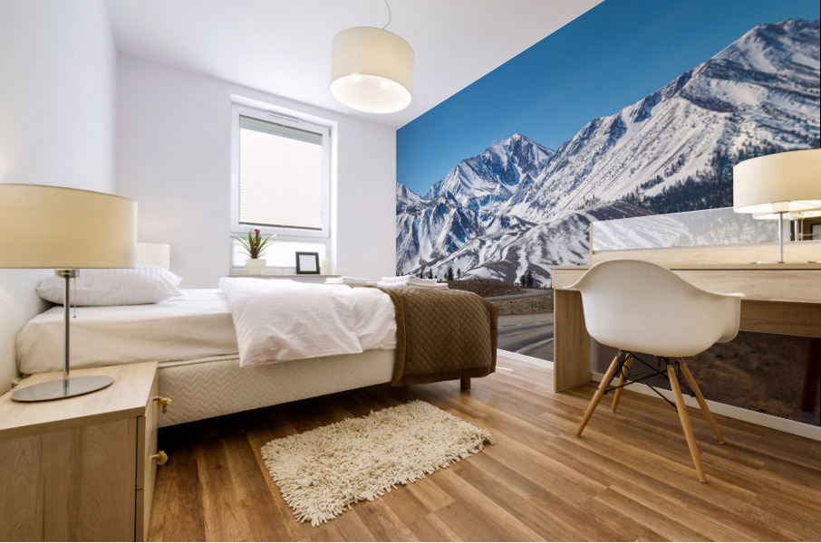 801A4691 Pano Edit 2 Mural print