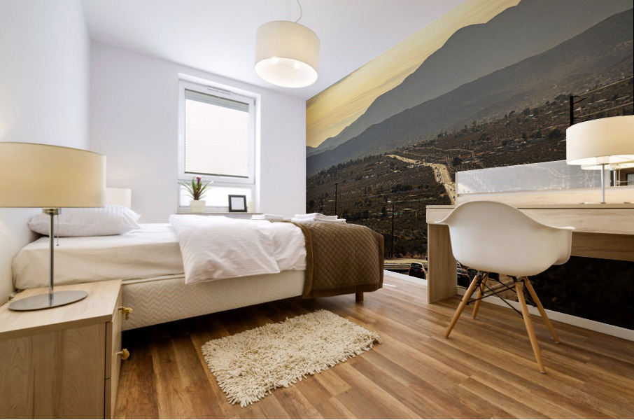 Palm springs Mural print