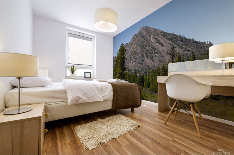 Black Butte Mural print