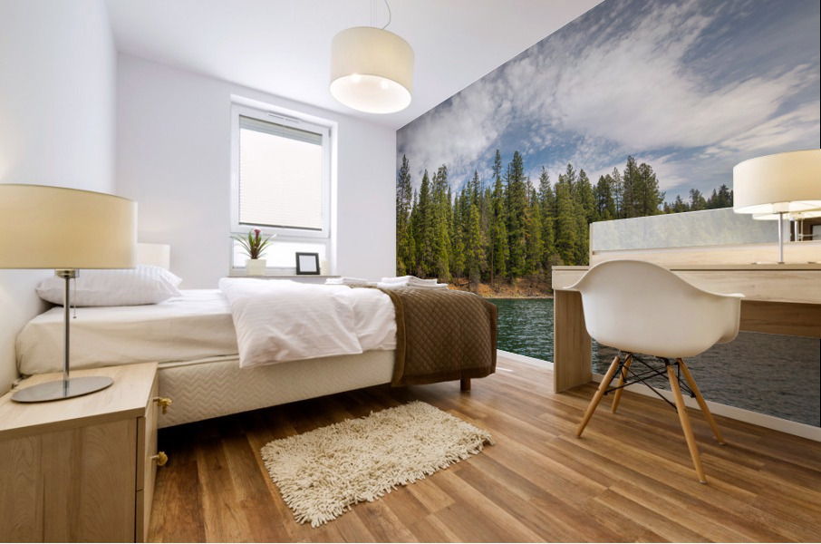 Trees of Lake Britton Mural print