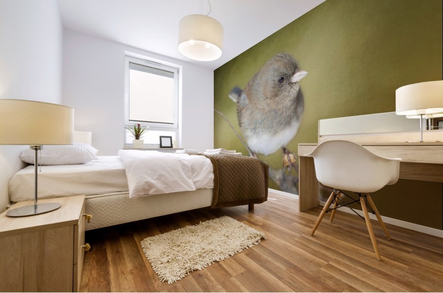 Dark Eyed Junco with Texture Mural print