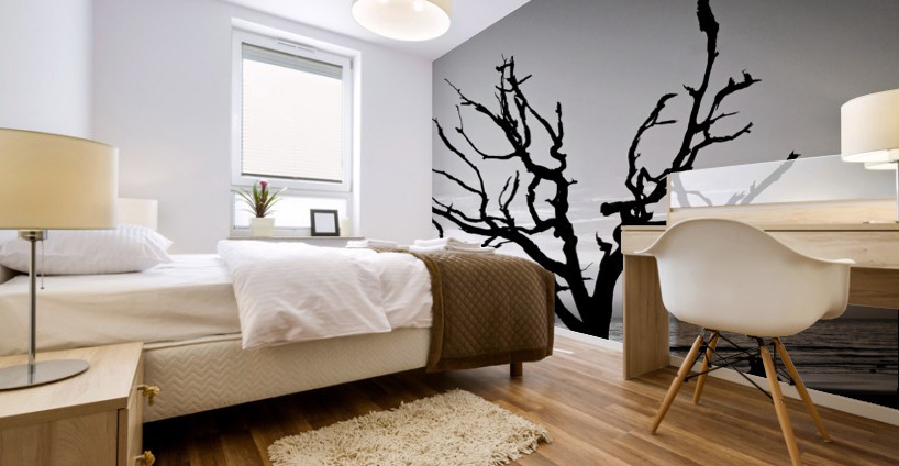 Iconic Tree Sunrise Driftwood Beach Black and White Mural print