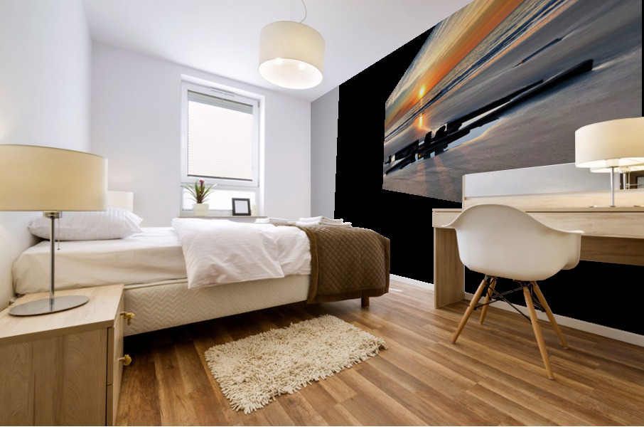 Driftwood Beach Shipwreck Sunrise Mural print