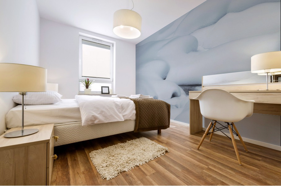 Snow study Mural print