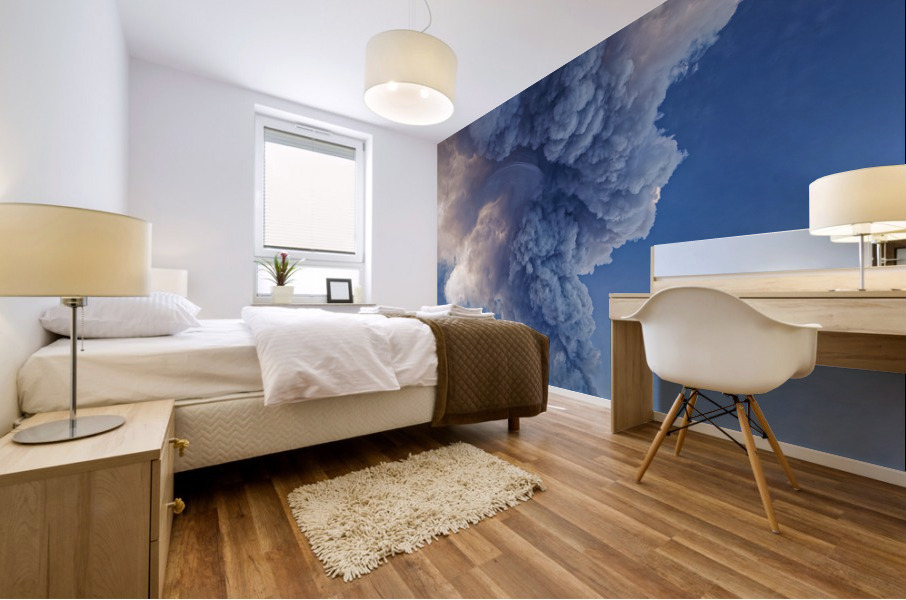 20210219IMG 0911 Mural print