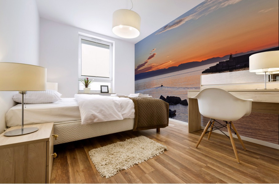 20210517IMG 9874 Mural print