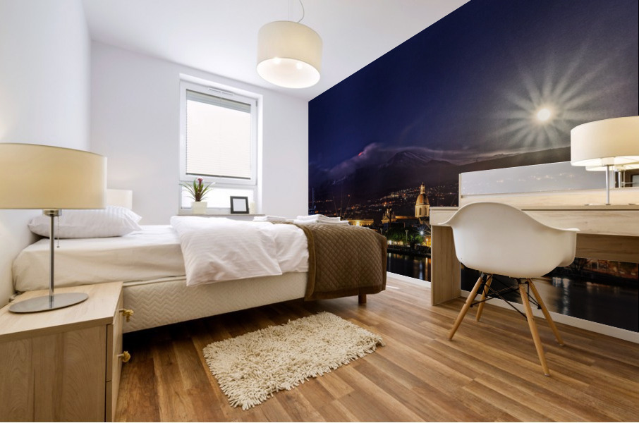 20201230 MG 8136 Mural print