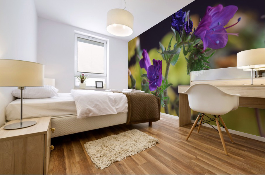 DC IMG 2707 Mural print