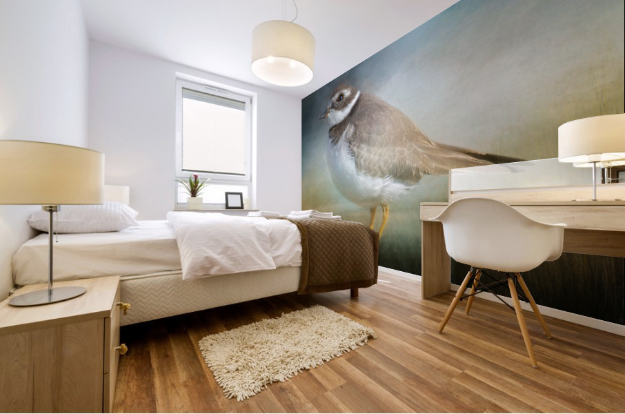 Semipalmated Plover Mural print