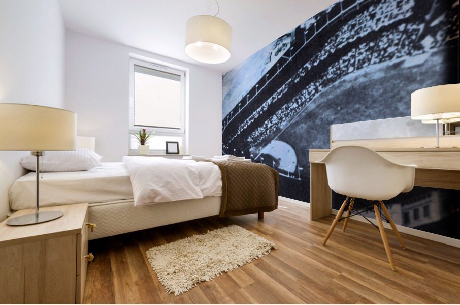 1958 Yankee Stadium Viewfinder Slide Art Mural print