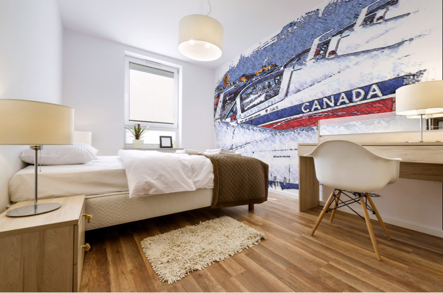 Canadian Snowbirds Mural print