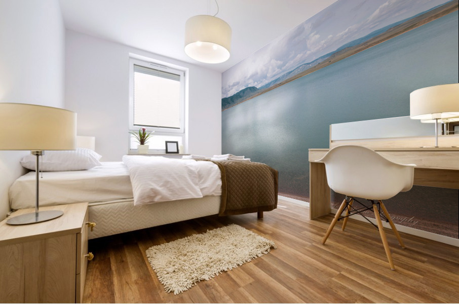 Serenity Mural print