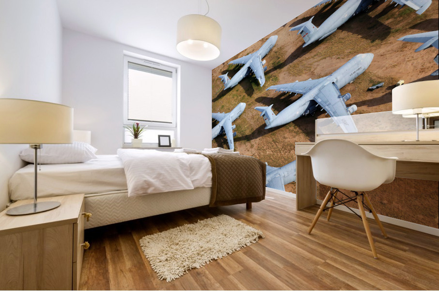Retired Military C-5 Galaxy Airplanes Mural print