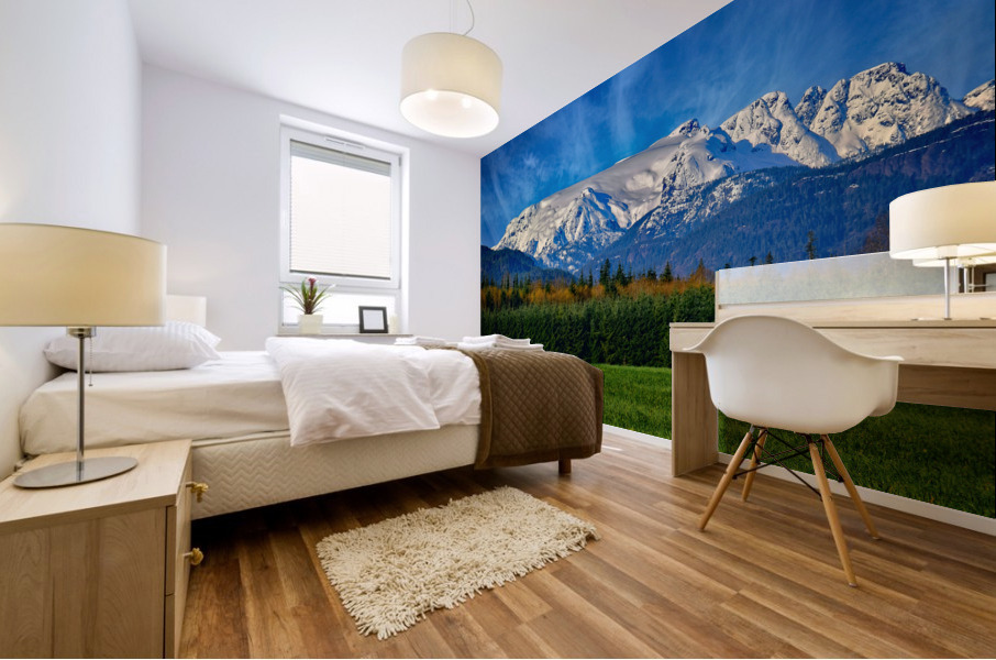 Comox Glacier in Early Spring Mural print