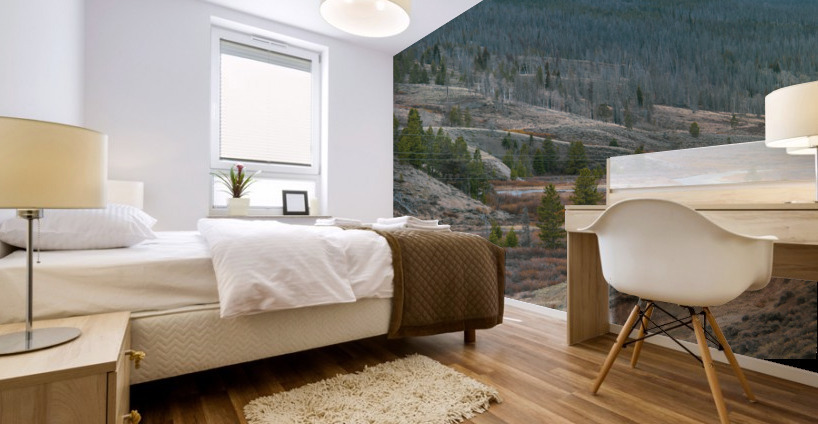 Shoshone River Mural print