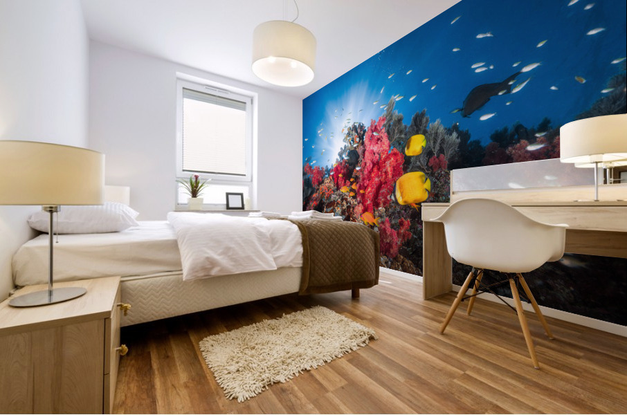 Reef life Mural print