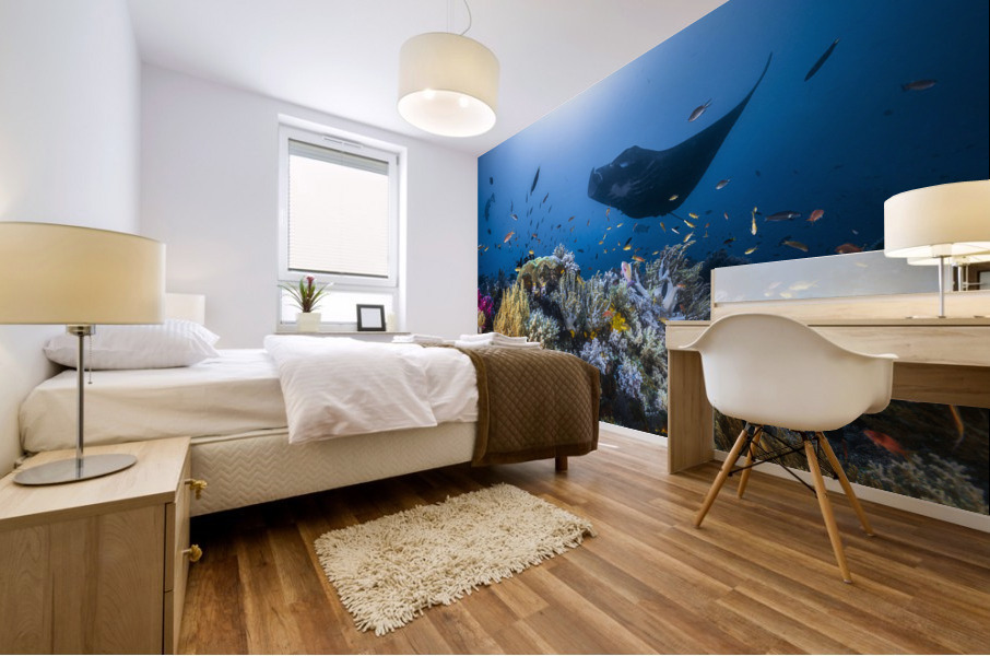 Manta reef on the reef Mural print