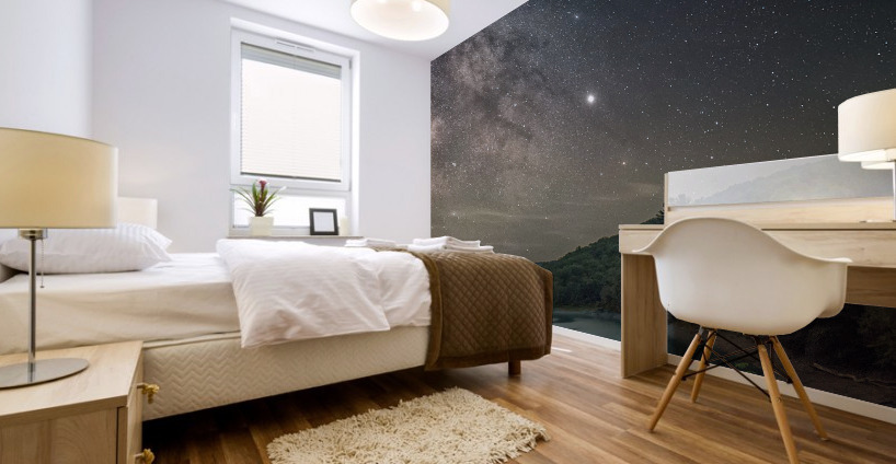 Catskills Mural print