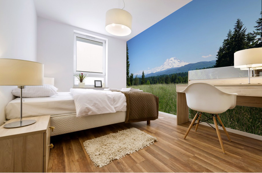 Mount Rainier Pacific Northwest United States Mural print