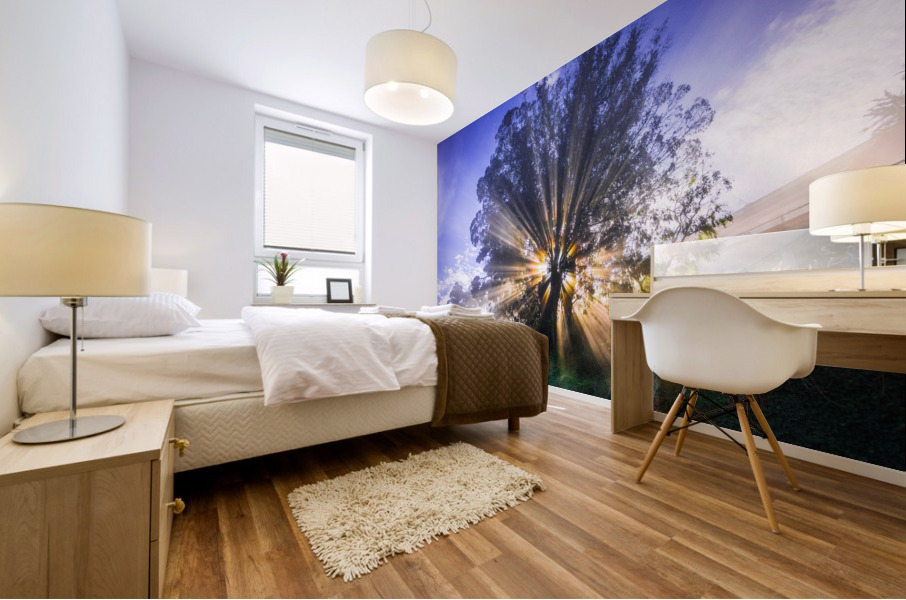 Rays of Light Mural print
