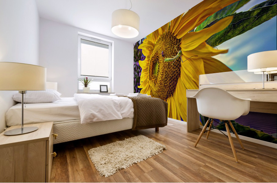 Sunflower Creative Mural print