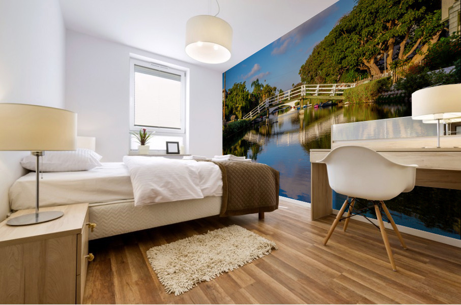 Venice Canal Mural print
