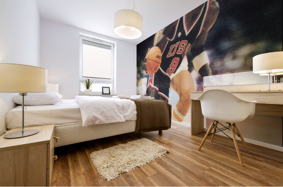 1984 Michael Jordan USA Basketball Art Mural print