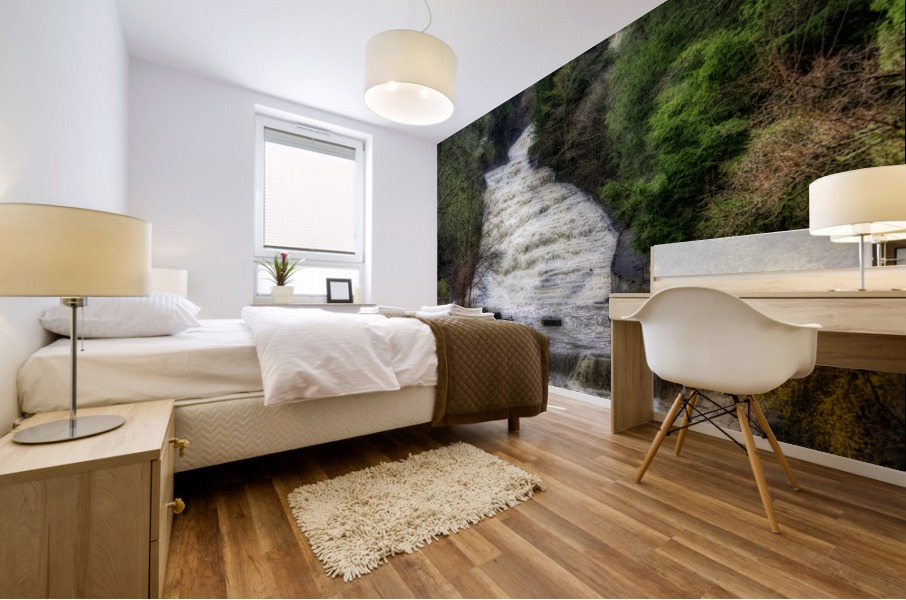 Buttermilk Falls Ithaca Mural print