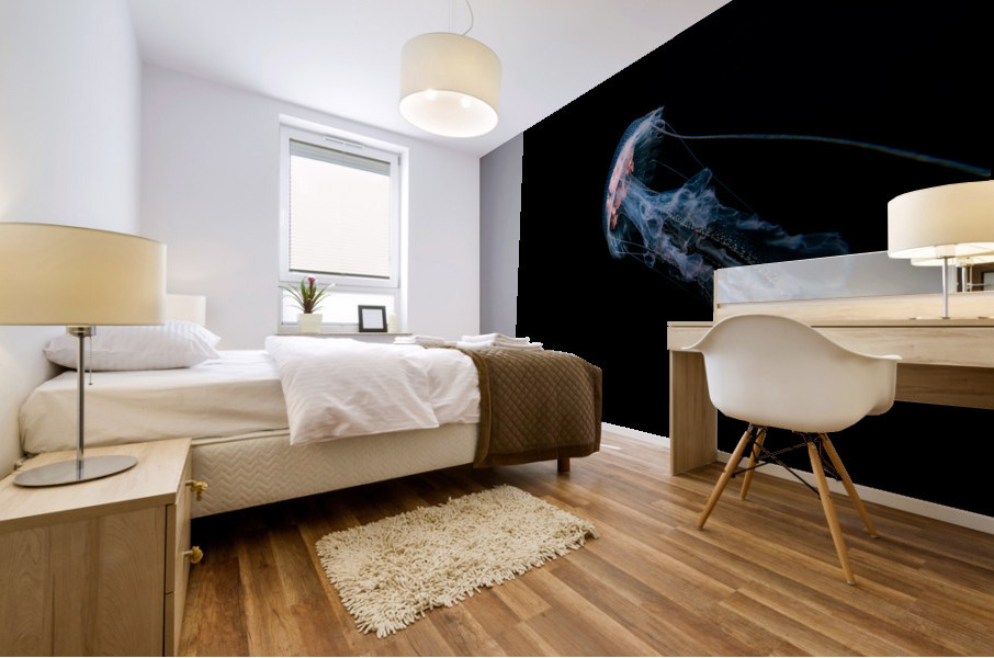 Jellyfish Pelagia Noctiluca - Taken at Gordo Banks near Cobo San Lucas  Mural print