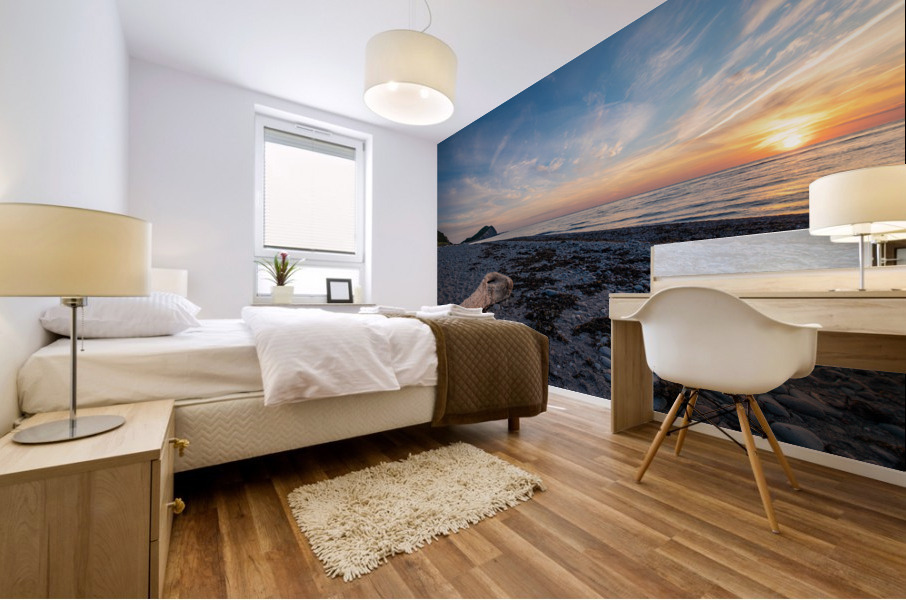 Seaside Sunset Mural print