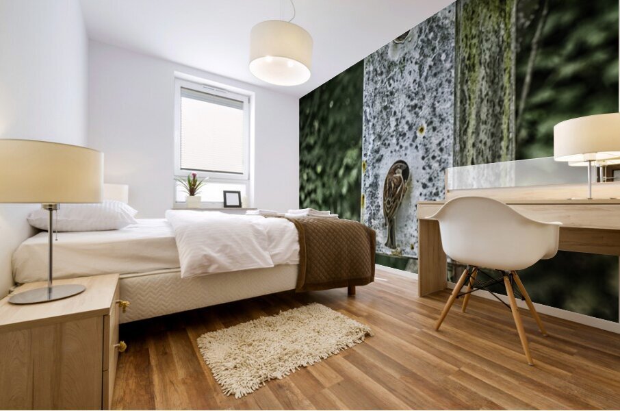 sparrow duplex Mural print
