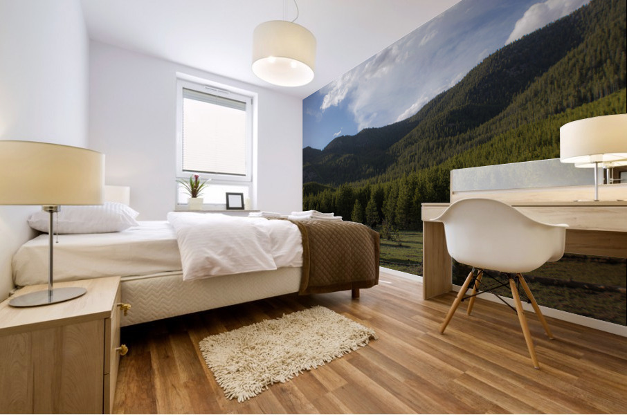 Bison Valley Mural print