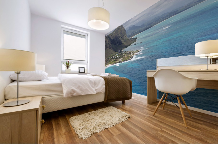 Village View Mural print