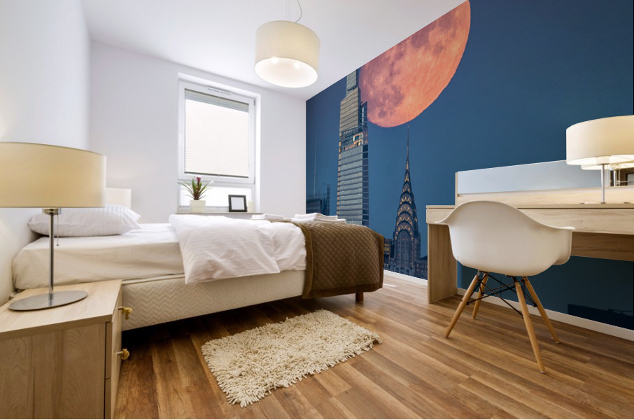 Balancing act Mural print