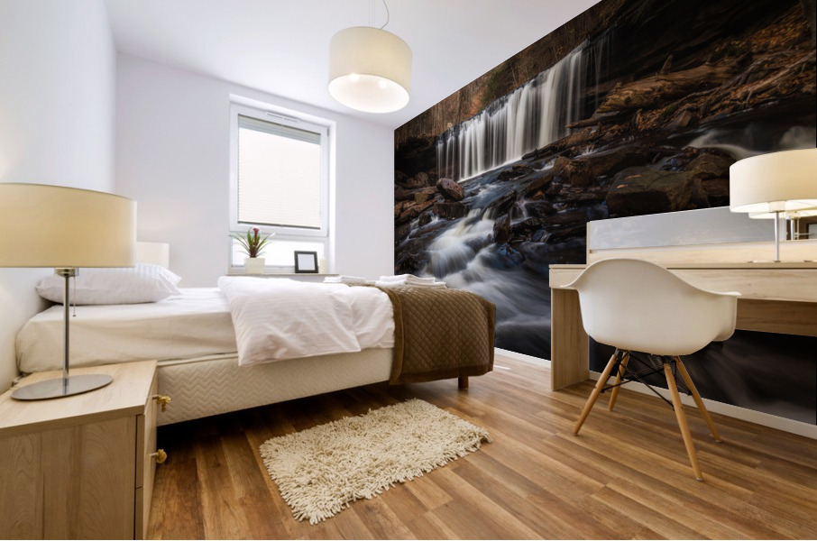 Oneida Mural print