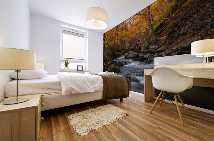 Ricketts Glen in the fall Mural print