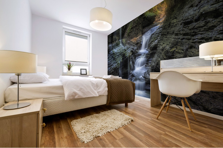 Rainbow Falls Mural print
