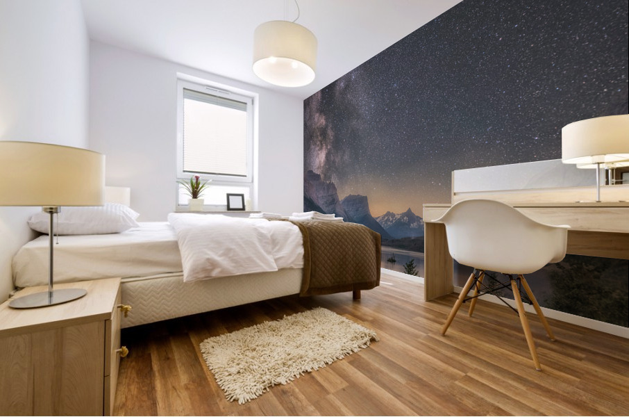 Wild Goose Mural print