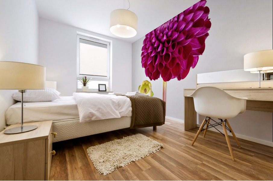 Softly Dahlia Mural print