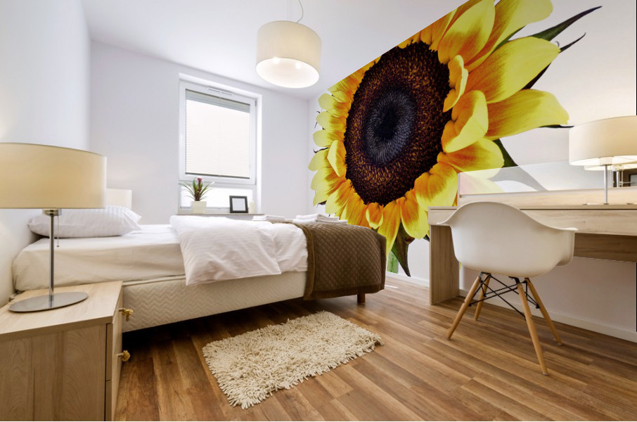 Sunny Sunflower Mural print