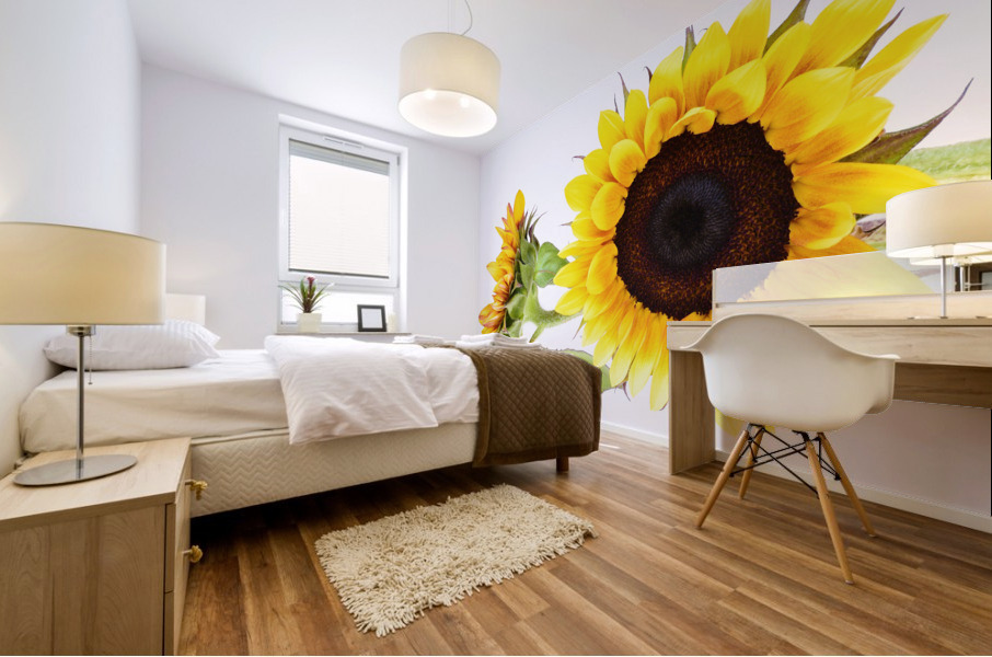 Beautifully Sunflower Mural print