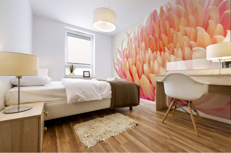 Sweet Blush Mural print