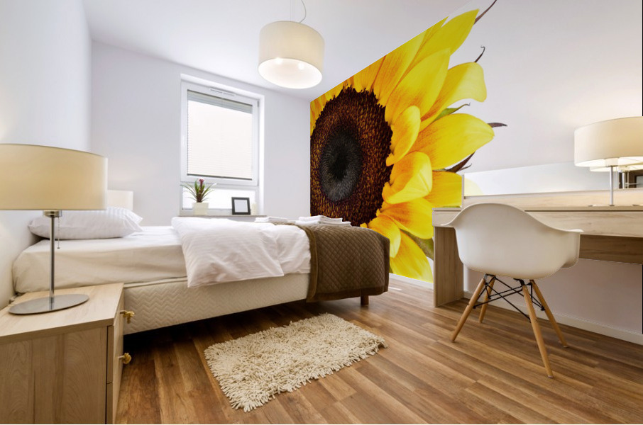 Hello Sunshine  Mural print