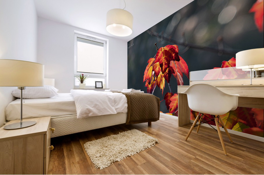 Rouge feu Mural print