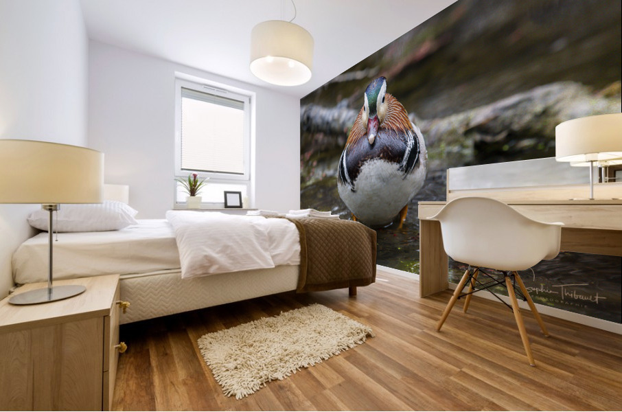 Le mandarin Mural print