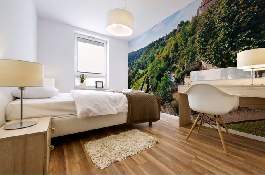 German Vineyard Mural print